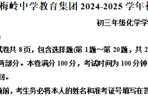 2025年江苏省扬州市梅岭集团中考一模化学试题（含解析）