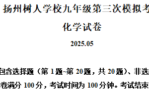 2025年江苏省扬州市树人学校中考三模化学试题（含解析）