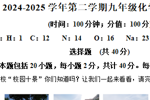 2025年江苏省扬州市仪征市金升外国语实验学校中考三模化学试卷（含解析）