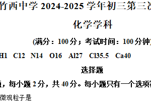 2025年江苏省扬州市竹西中学中考三模化学试题（含解析）