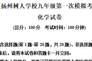 2025年江苏省扬州中学教育集团树人集团中考一模化学试题（含解析）