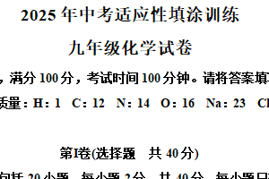 2025年江苏省镇江市丹徒区中考二模化学试题（含解析）