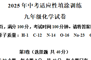 2025年江苏省镇江市丹徒区中考适应性填涂训练（一模）化学试题（含解析）