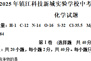 2025年江苏省镇江市科技新城实验学校中考化学全真模拟试卷2（含解析）