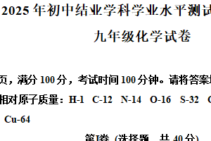 2025年江苏省镇江市市属学校中考模拟评价2化学试卷（含解析）