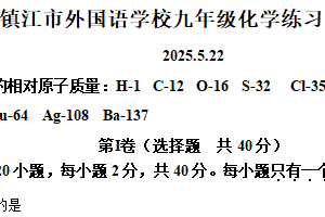 2025年江苏省镇江市外国语学校九年级化学试卷（11）（含解析）