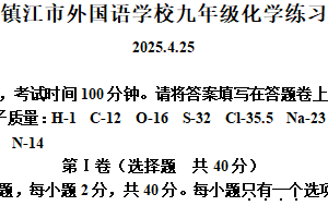 2025年江苏省镇江市外国语学校中考零模化学试题（含解析）