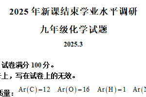 江苏省常州市北郊初级中学2024-2025学年九年级下学期新课结束考化学试题（含解析）