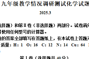 江苏省常州市花园中学2024-2025学年九年级下学期新课结束考试化学试题（含解析）