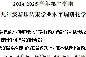 江苏省常州市外国语学校2024-2025学年九年级下学期新课结束学业水平调研考试化学试题（含解析）
