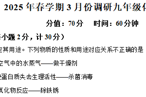 江苏省淮安市洪泽区2024-2025学年九年级下学期3月月考化学试题（含解析）