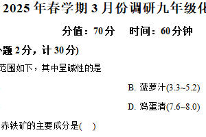 江苏省淮安市淮安区2024-2025学年九年级下学期3月调研化学试题（含解析）