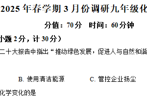 江苏省淮安市金湖县2024-2025学年九年级下学期3月联考化学试题（含解析）