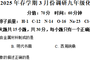 江苏省淮安市金湖县2024-2025学年九年级下学期3月月考化学试题（含解析）