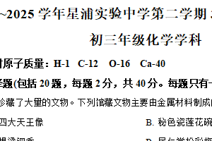 江苏省苏州市园区星浦实验中学2024-2025学年九年级下学期3月月考化学试题（含解析）