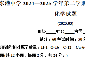 江苏省连云港市东港中学2024-2025学年九年级下学期3月月考化学试题（含解析）