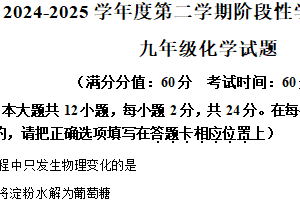 江苏省连云港市灌南县淮河路实验学校2024-2025学年九年级下学期3月月考化学试题（含解析）