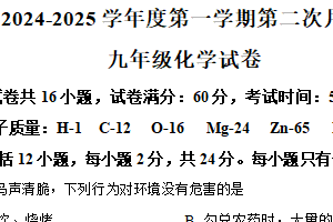 江苏省连云港市灌云县西片2024-2025学年九年级下学期3月月考化学试题（含解析）
