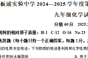江苏省连云港市海州区板浦实验中学2024-2025学年九年级下学期3月月考化学试题（含解析）