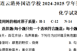 江苏省连云港市海州区外国语学校2024-2025学年九年级下学期三月月考化学试题（含解析）
