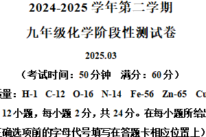 江苏省连云港市实验学校2024–2025学年九年级下学期第一次月考化学试题（含解析）