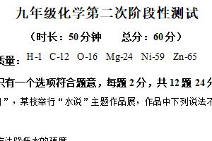 江苏省连云港市新海实验中学2024-2025学年九年级下学期4月月考化学试题（含解析）