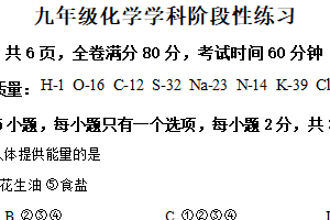 江苏省南京河西外国语学校2024-2025学年九年级下学期化学月考试卷（含解析）