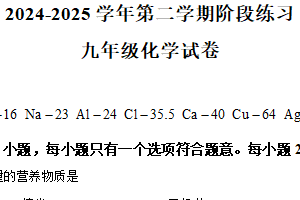 江苏省南京市第二十九中学2024-2025学年九年级下学期3月阶段练习化学试题（含解析）
