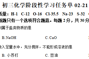 江苏省南京市金陵中学河西分校2024-2025学年九年级下学期2月月考化学试题（含解析）