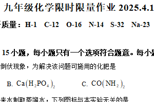 江苏省南京市金陵中学河西分校2024-2025学年九年级下学期4月限时训练化学试题（含解析）