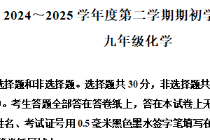 江苏省南京市栖霞区2024-2025学年九年级下学期开学考试化学试题（含解析）