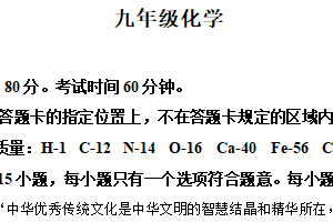 江苏省南京市树人学校2024-2025学年九年级下学期第一次月考化学试题（含解析）