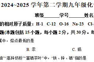 江苏省南京市玄武区外国语学校2024-2025学年九年级下学期期中化学试题（含解析）