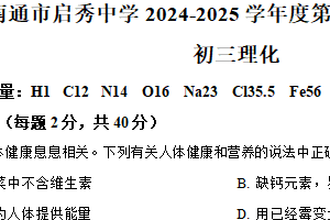 江苏省南通市崇川启秀中学2024-2025学年九年级下学期3月月考化学试题（含解析）