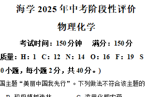 江苏省南通市海安市海安外国语学校和海陵中学联考2024-2025学年九年级下学期5月月考物理试题-初中化学（含解析）