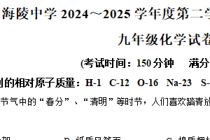 江苏省南通市海安市海陵中学2024-2025学年九年级下学期3月月考化学试题（含解析）