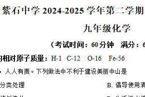江苏省南通市海安市紫石中学2024-2025学年九年级下学期3月月考化学试题（含解析）