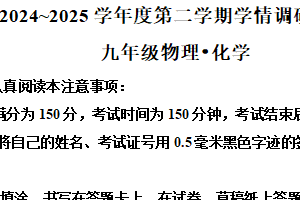 江苏省南通市海门区2024-2025学年九年级下学期4月期中化学试题（含解析）