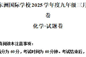 江苏省南通市海门区东洲国际学校2024-2025学年九年级下学期3月月考化学试题（含解析）