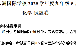江苏省南通市海门区东洲国际学校2024-2025学年九年级下学期5月月考化学试题（含解析）