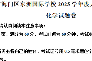 江苏省南通市海门区东洲国际学校2024-2025学年九年级下学期开学考试化学试题（含解析）