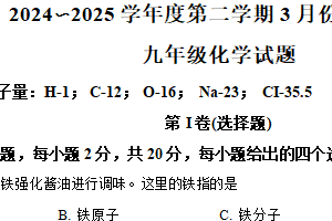 江苏省南通市启东市2024-2025学年九年级下学期3月月考化学试题（含解析）