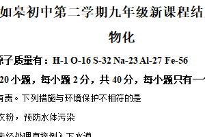江苏省南通市如皋初级中学2024-2025学年下学期九年级新课程结束考试 物理 化学 试题-初中化学（含解析）