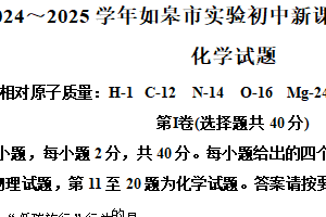 江苏省南通市如皋市石庄镇初级中学2024-2025学年九年级下学期3月结课调研化学试题（含解析）