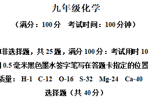 江苏省苏州市高新区第一初级中学2024-2025学年九年级下学期3月月考化学试题（含解析）