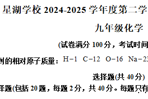 江苏省苏州市工业园区星湖学校2024-2025学年九年级下学期3月随堂练习化学试题（含解析）