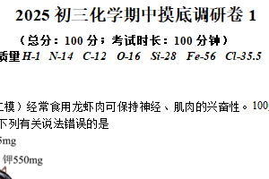 江苏省苏州市昆山市葛江中学2024-2025学年九年级下学期期中摸底化学调研卷1（含解析）