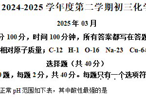 江苏省苏州市立达中学2024-2025学年九年级下学期3月月考化学试题（含解析）