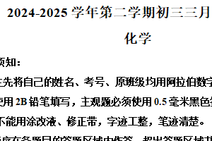 江苏省苏州市星海实验初中2024-2025学年九年级下学期3月一空化学试题（含解析）