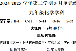江苏省苏州市园区东沙湖实验中学2024-2025学年九年级下学期3月月考化学试题（含解析）